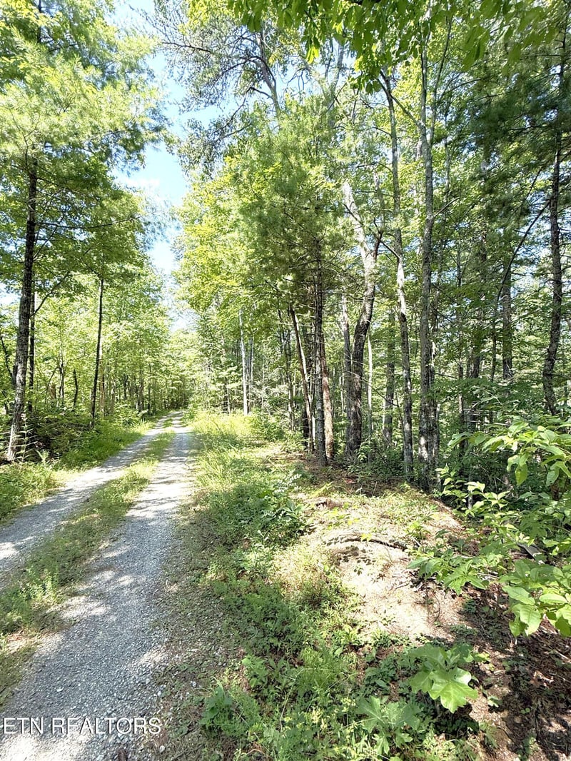 Lot 4 Oakwood Rd, Walland, TN 37886