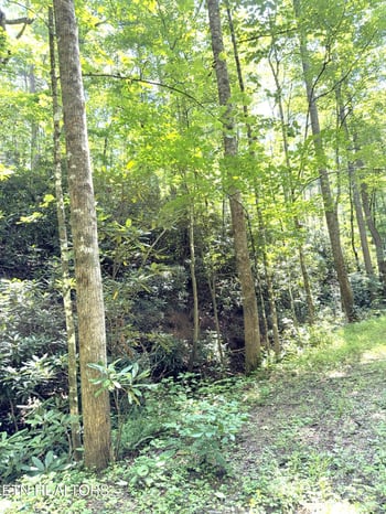 Lot 4 Oakwood Rd, Walland, TN 37886