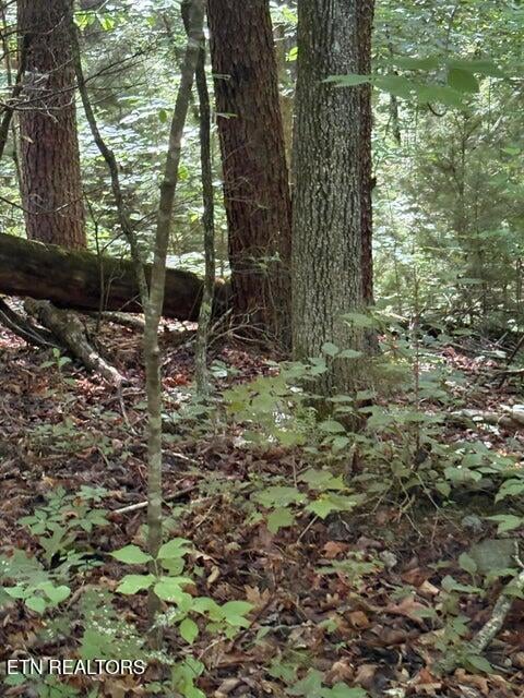 lot 4 Old Furnace Rd, Tellico Plains, TN 37385