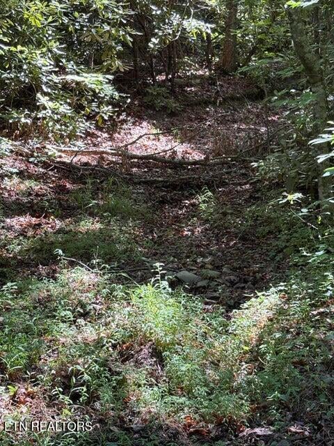 lot 4 Old Furnace Rd, Tellico Plains, TN 37385