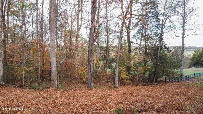 Lot 4 Parcel 059 040 02 Rd, Englewood, TN 37329
