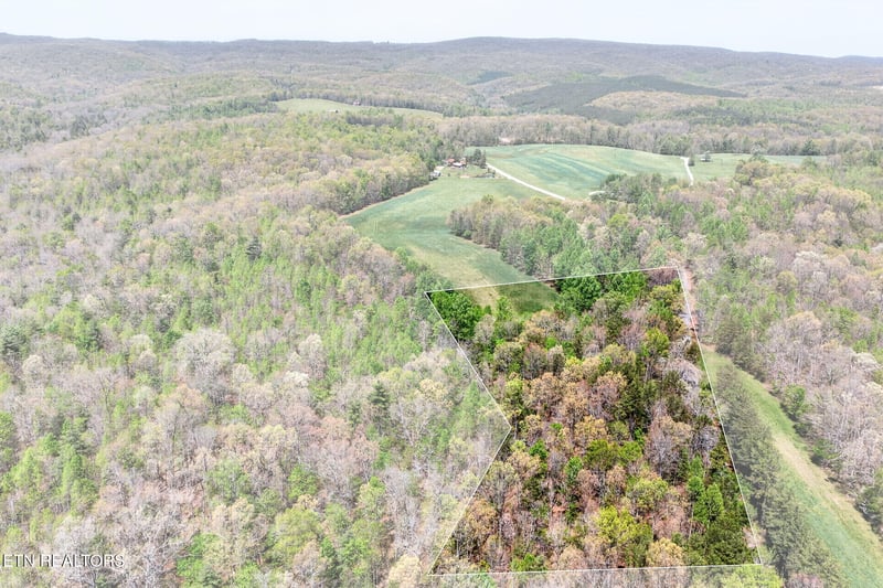 Lot 4 Smith Mountain Rd, Rockwood, TN 37854