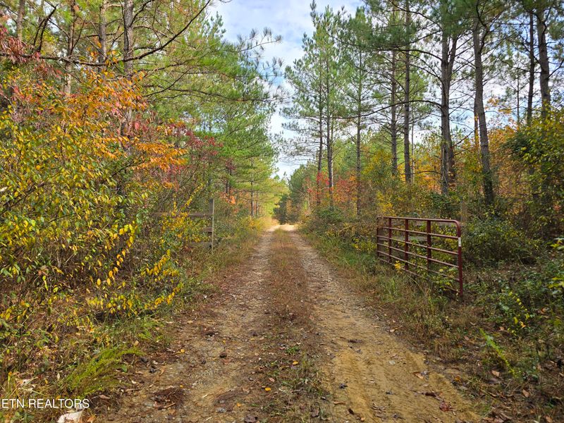 Lot 4 W Robbins Rd, Robbins, TN 37852