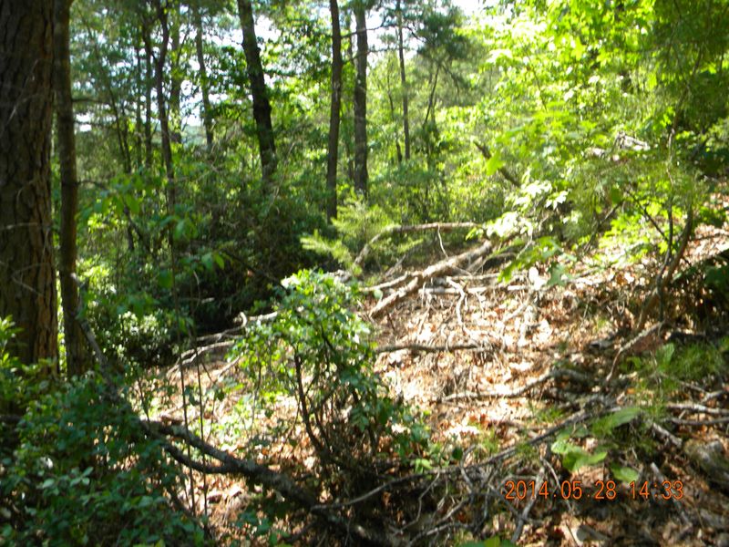 Lot 4 Walden Ridge Rd, Sevierville, TN 37862