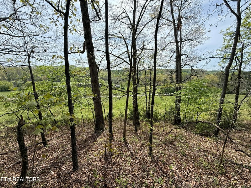 Lot 4 Yarnell Rd, Knoxville, TN 37932