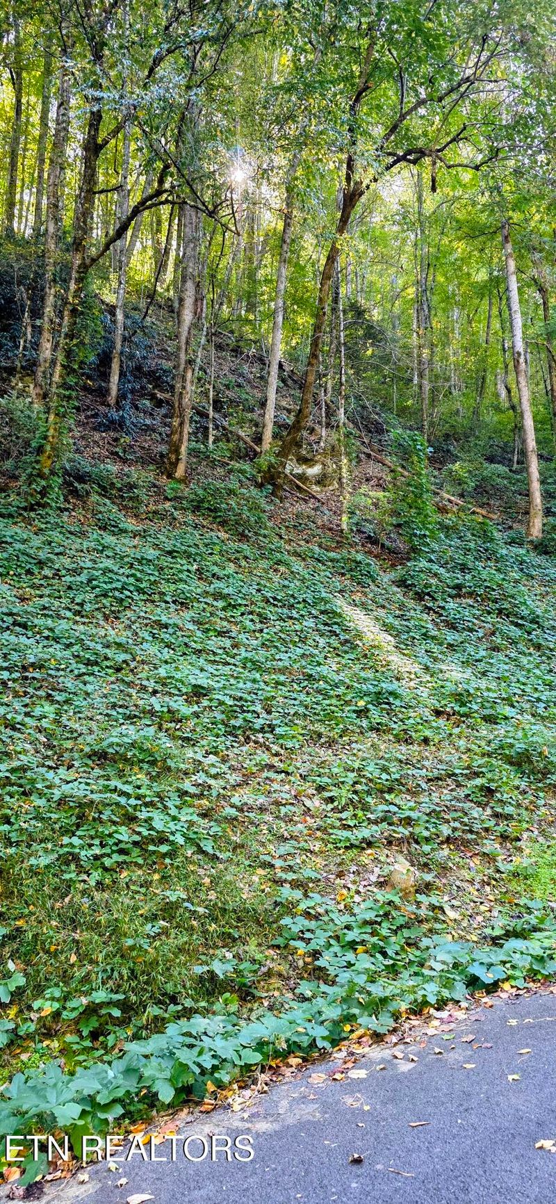 Lot 40 Black Walnut Flats Rd, Sevierville, TN 37862