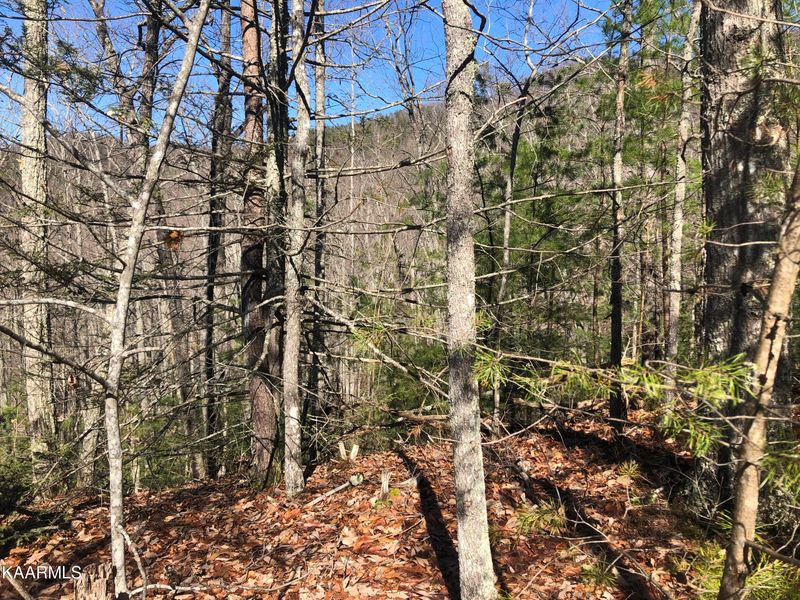 Lot 40 Hickory Tree St, Sevierville, TN 37876