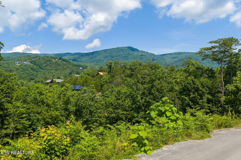 Lot 40 Laughing Pine Ln, Sevierville, TN 37862
