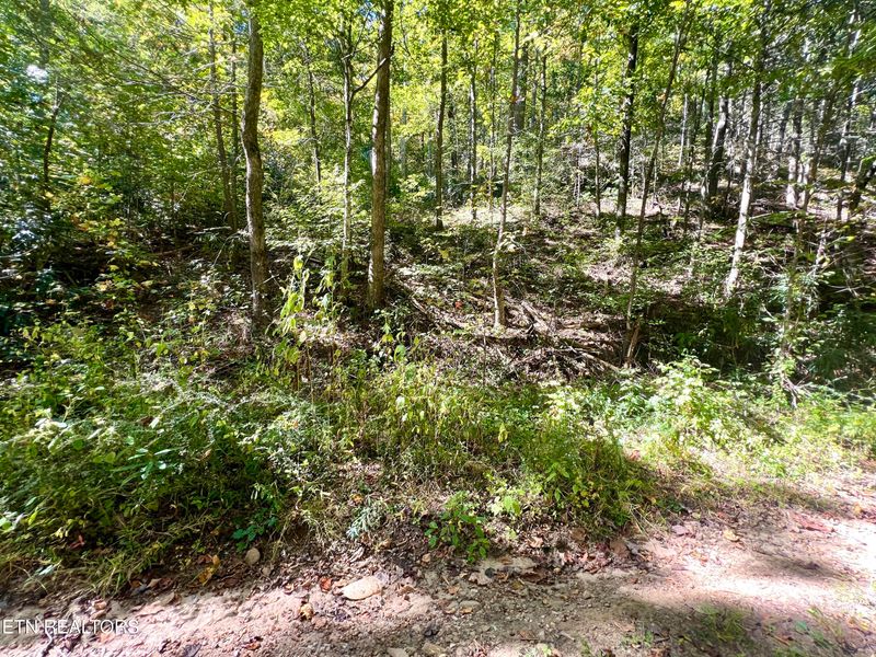 Lot 40 Lin Creek Rd, Sevierville, TN 37876