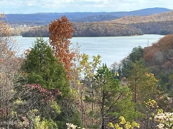 Lot 406 Flint Ridge Rd, Rockwood, TN 37854