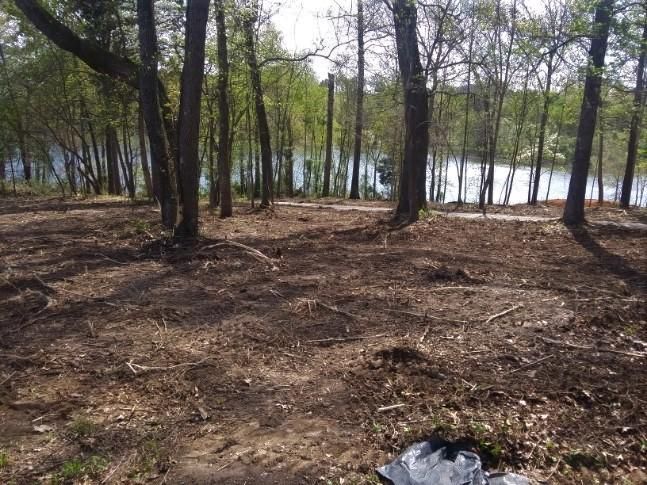 Lot 41 Cherokee Cv, Rutledge, TN 37861