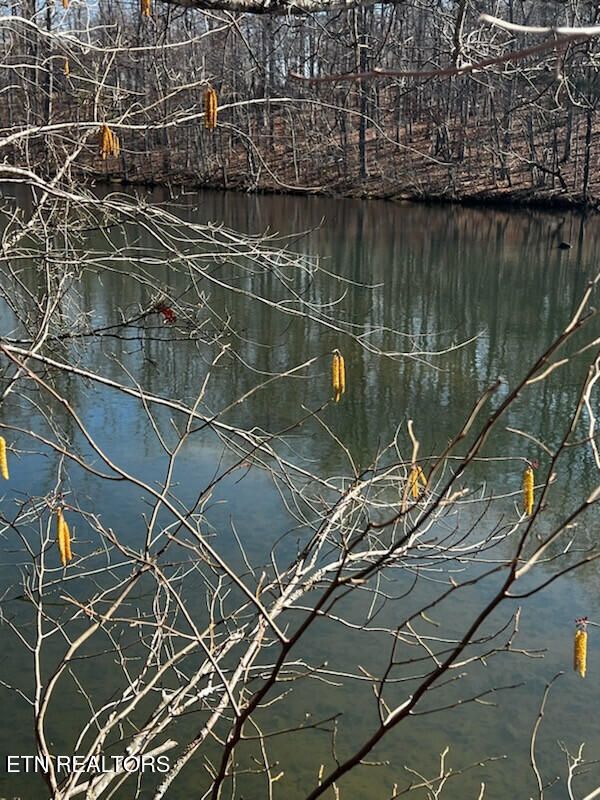 Lot 41 Crystal Point, Monterey, TN 38574