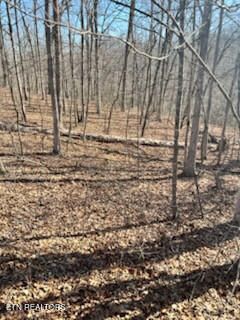 Lot 41 Crystal Point, Monterey, TN 38574