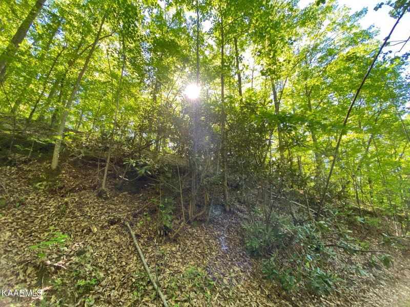 Lot 41 Trailer Park Ln, Sevierville, TN 37876