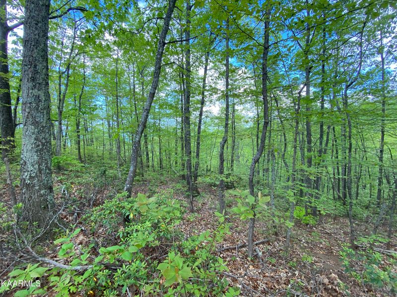 Lot 42 High St, Sevierville, TN 37876
