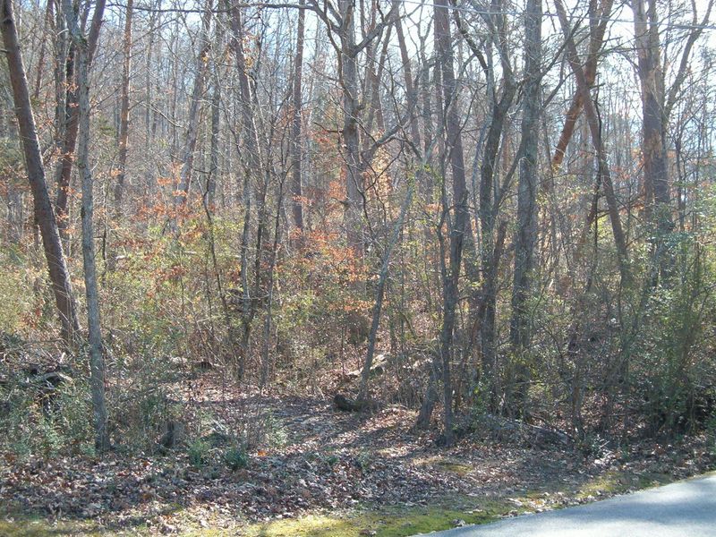 Lot 42 Rose Bailey Rd, Kingston, TN 37763