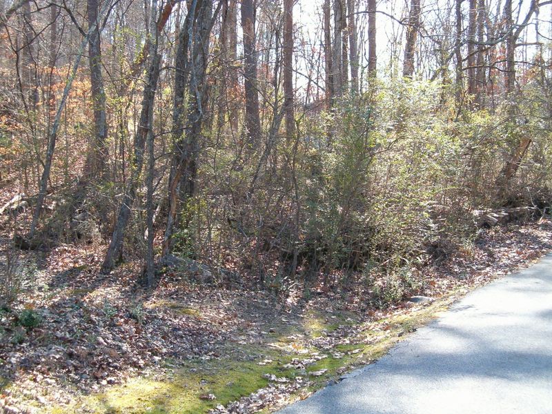 Lot 42 Rose Bailey Rd, Kingston, TN 37763