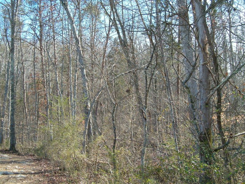 Lot 42 Rose Bailey Rd, Kingston, TN 37763