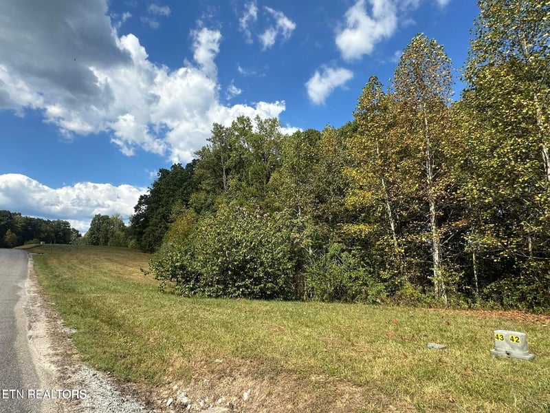 lot 43 Old Hearth #43, Lafollette, TN 37766