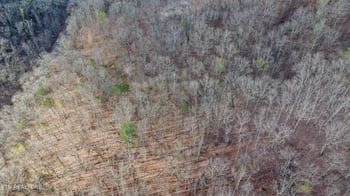 Lot 435 Hidden Oaks Rd, Rockwood, TN 37854