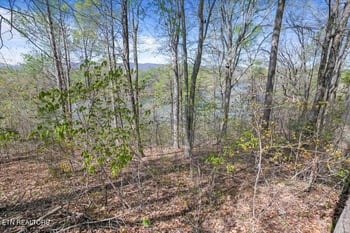 Lot 44 Hiwassee Dr, Jacksboro, TN 37757
