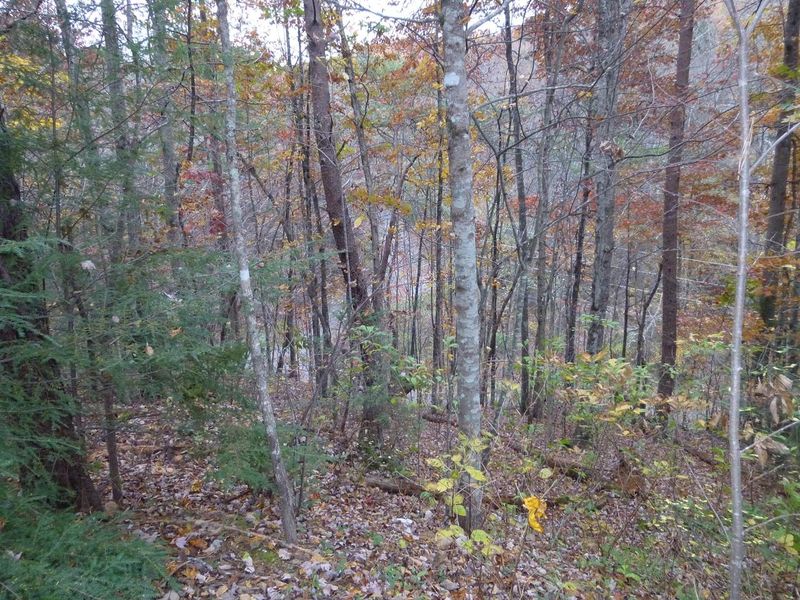 Lot 446 Iris Ct, Sevierville, TN 37876