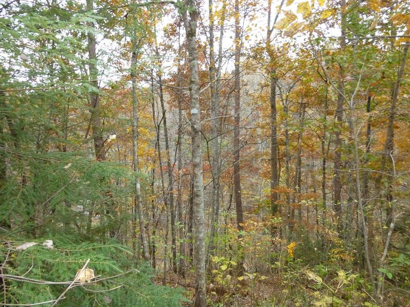 Lot 446 Iris Ct, Sevierville, TN 37876