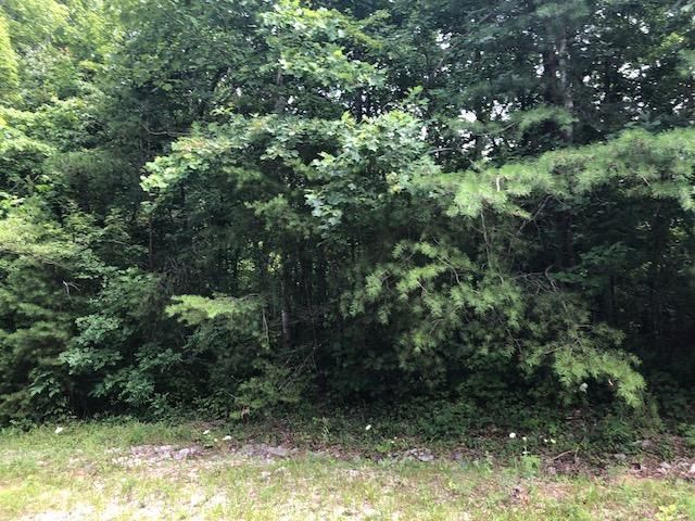 Lot 45 Cliff Park Rd, Monterey, TN 38574