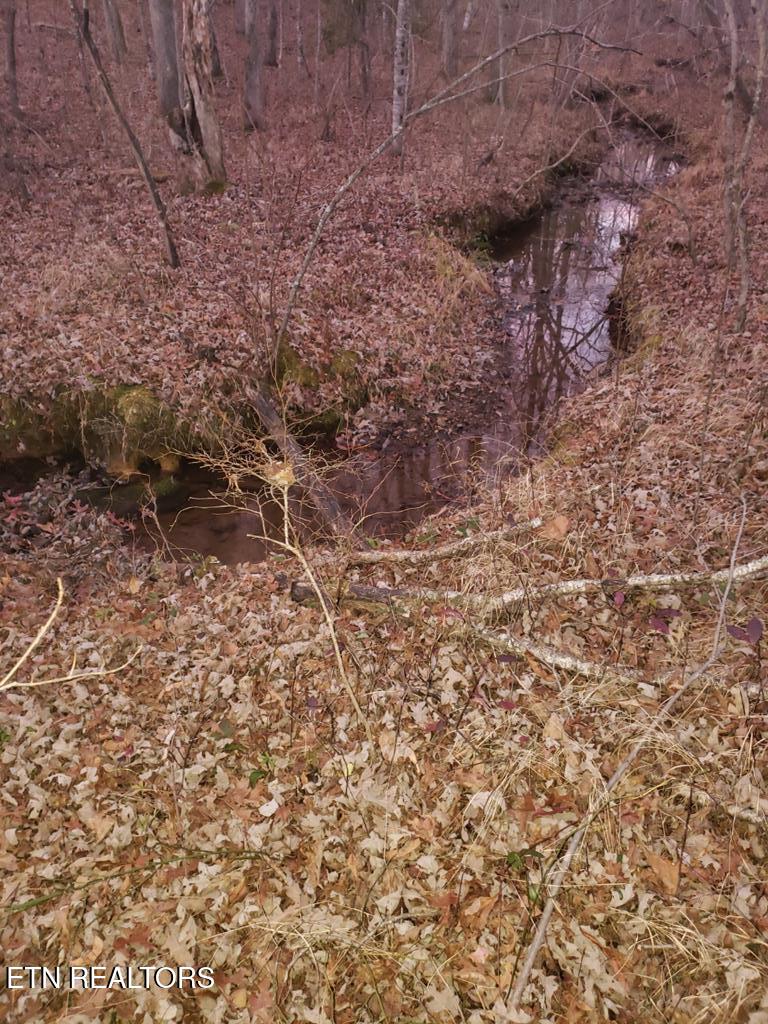 Lot 45 Indian Tr, Monterey, TN 38574