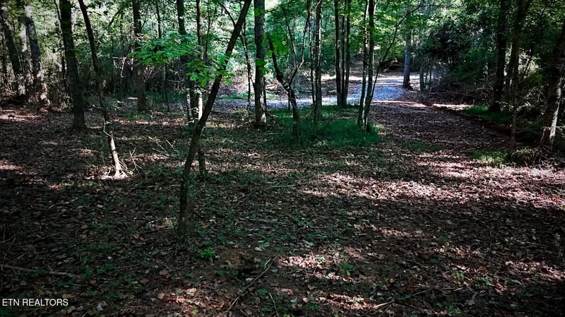 Lot 45 Old Mine Rd, Sweetwater, TN 37874