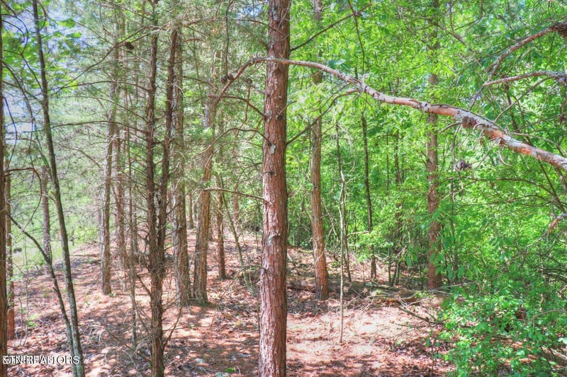 Lot 451 Crystal Springs Rd, Rockwood, TN 37854