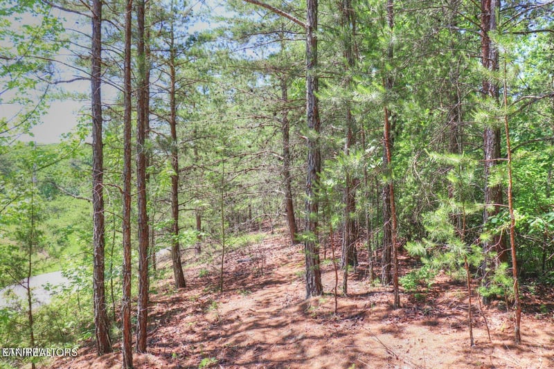 Lot 451 Crystal Springs Rd, Rockwood, TN 37854