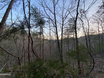 Lot 46 Beechwood St, Sevierville, TN 37876