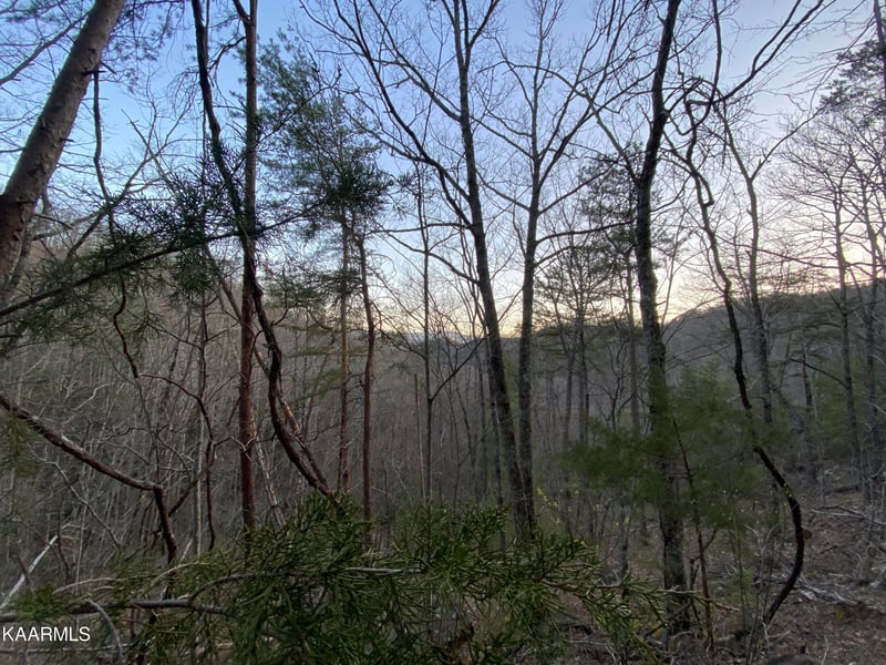 Lot 46 Beechwood St, Sevierville, TN 37876