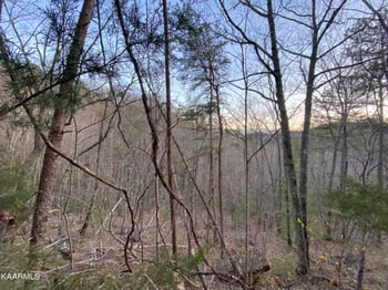 Lot 46 Beechwood St, Sevierville, TN 37876