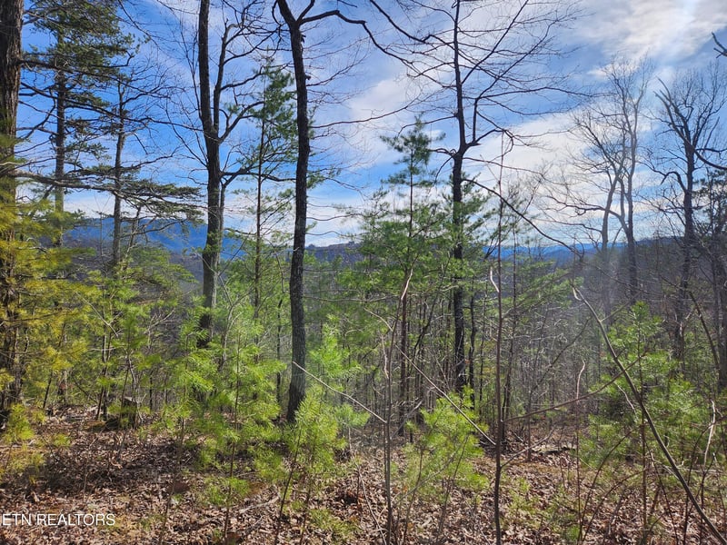 Lot 46 Feld Wynde Close Way, Sevierville, TN 37862