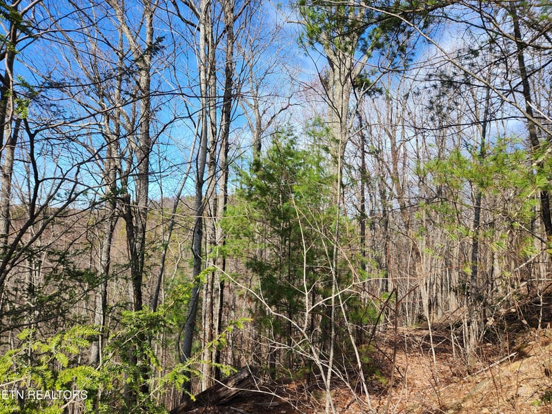 Lot 46 Feld Wynde Close Way, Sevierville, TN 37862