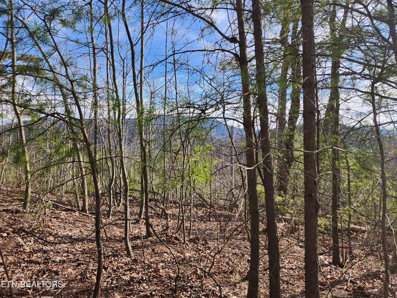 Lot 46 Feld Wynde Close Way, Sevierville, TN 37862
