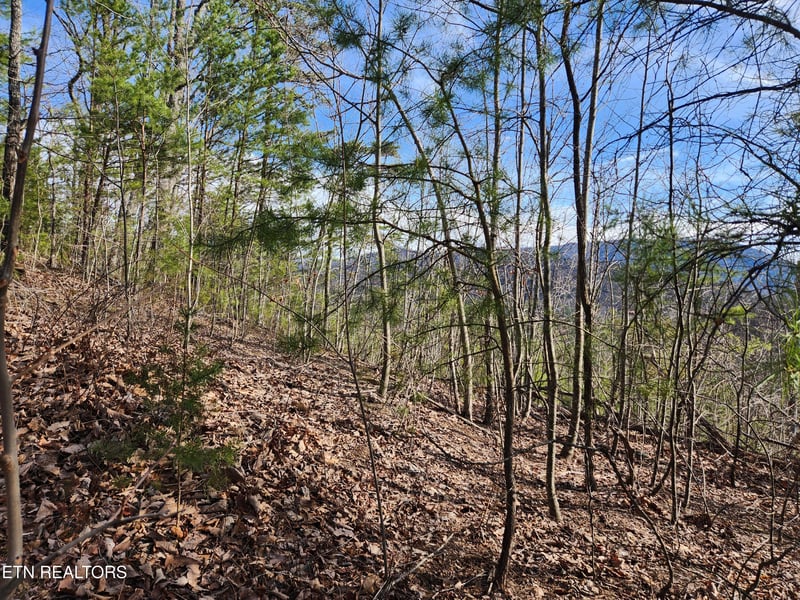 Lot 46 Feld Wynde Close Way, Sevierville, TN 37862