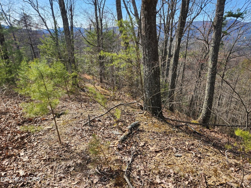 Lot 46 Feld Wynde Close Way, Sevierville, TN 37862