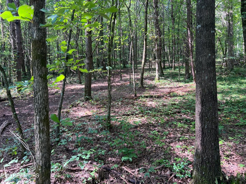 Lot 46 Old Mine Rd, Sweetwater, TN 37874