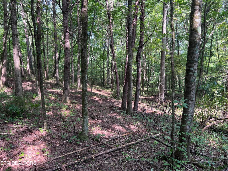 Lot 46 Old Mine Rd, Sweetwater, TN 37874