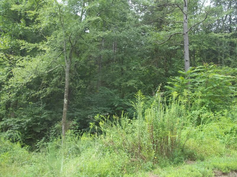 Lot 4647 Mistletoe Loop, Sevierville, TN 37876