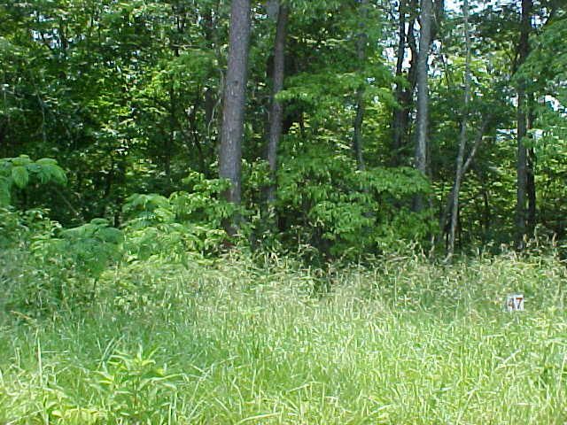 Lot 47 Cherokee Dr, Rutledge, TN 37861