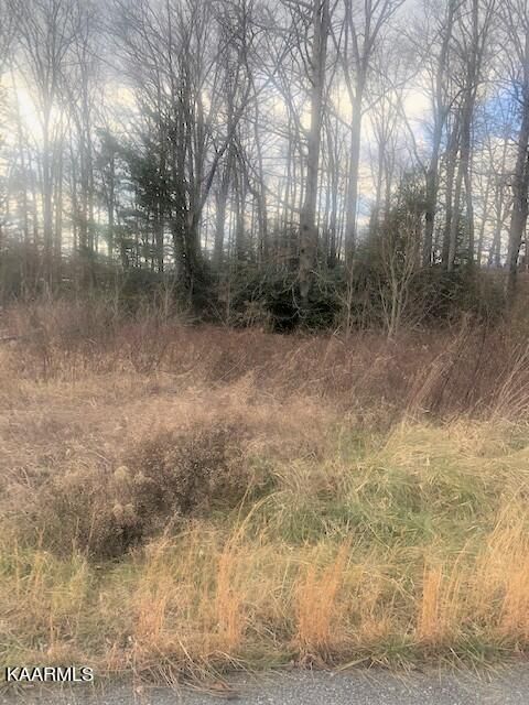 Lot 47 Green Meadow Dr, Winfield, TN 37892
