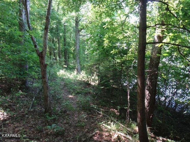 Lot 47 The Battery, Kingston, TN 37763