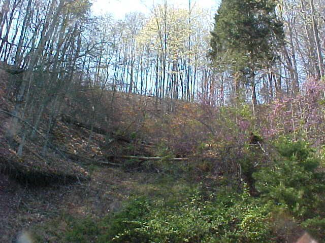 Lot 47 Walleye Point, Sharps Chapel, TN 37866