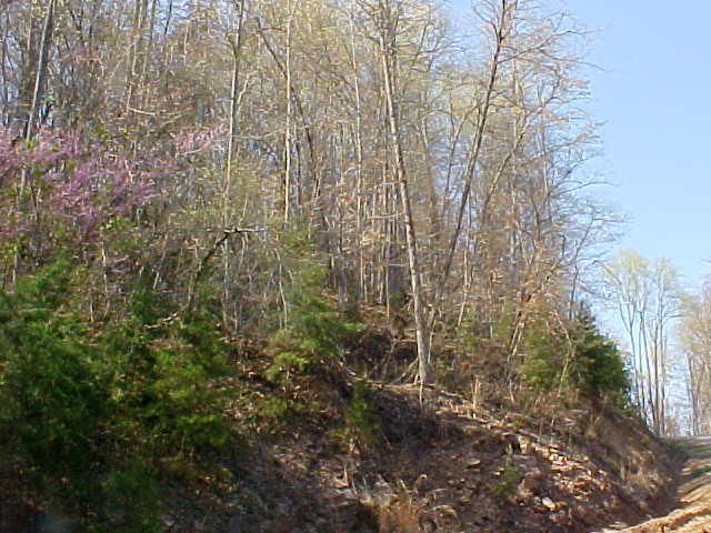 Lot 47 Walleye Point, Sharps Chapel, TN 37866