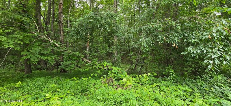 Lot 48-49 Bear Creek Rd, Oneida, TN 37841