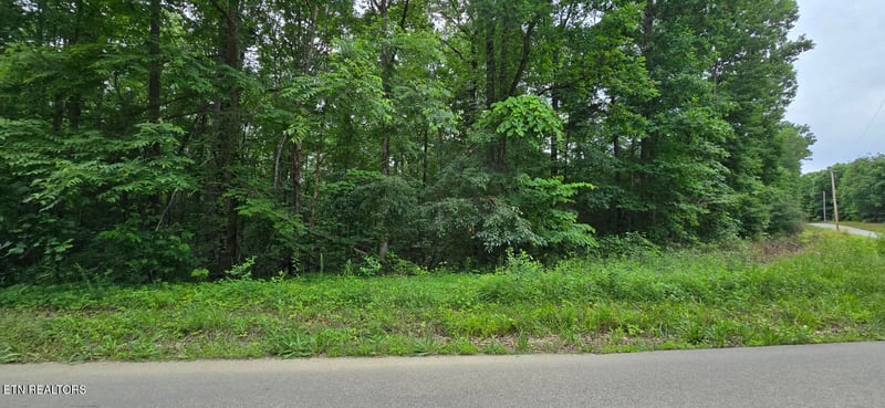 Lot 48-49 Bear Creek Rd, Winfield, TN 37892